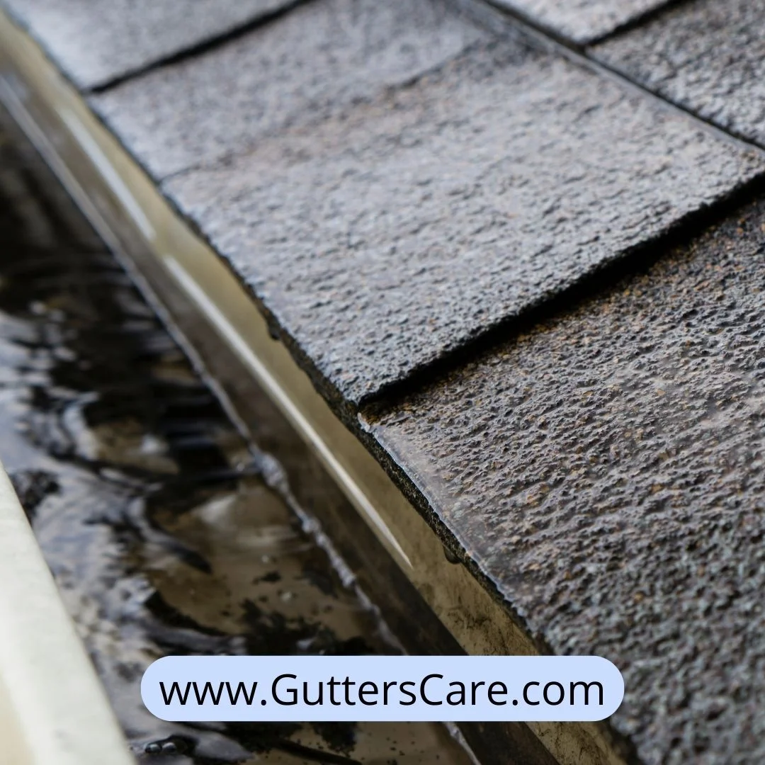 Rain gutters attached to roof with water and leaves inside the gutters.